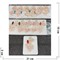 Брошь Цветок Бабочка (B-410) металлическая со стразами 12 шт/упаковка - фото 230310