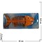 Мыльница Fish Bone - фото 75513